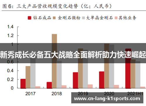 新秀成长必备五大战略全面解析助力快速崛起
