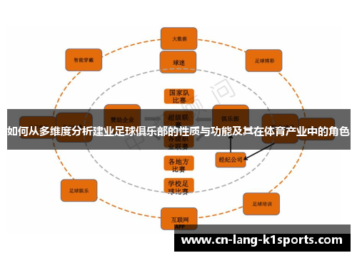 如何从多维度分析建业足球俱乐部的性质与功能及其在体育产业中的角色